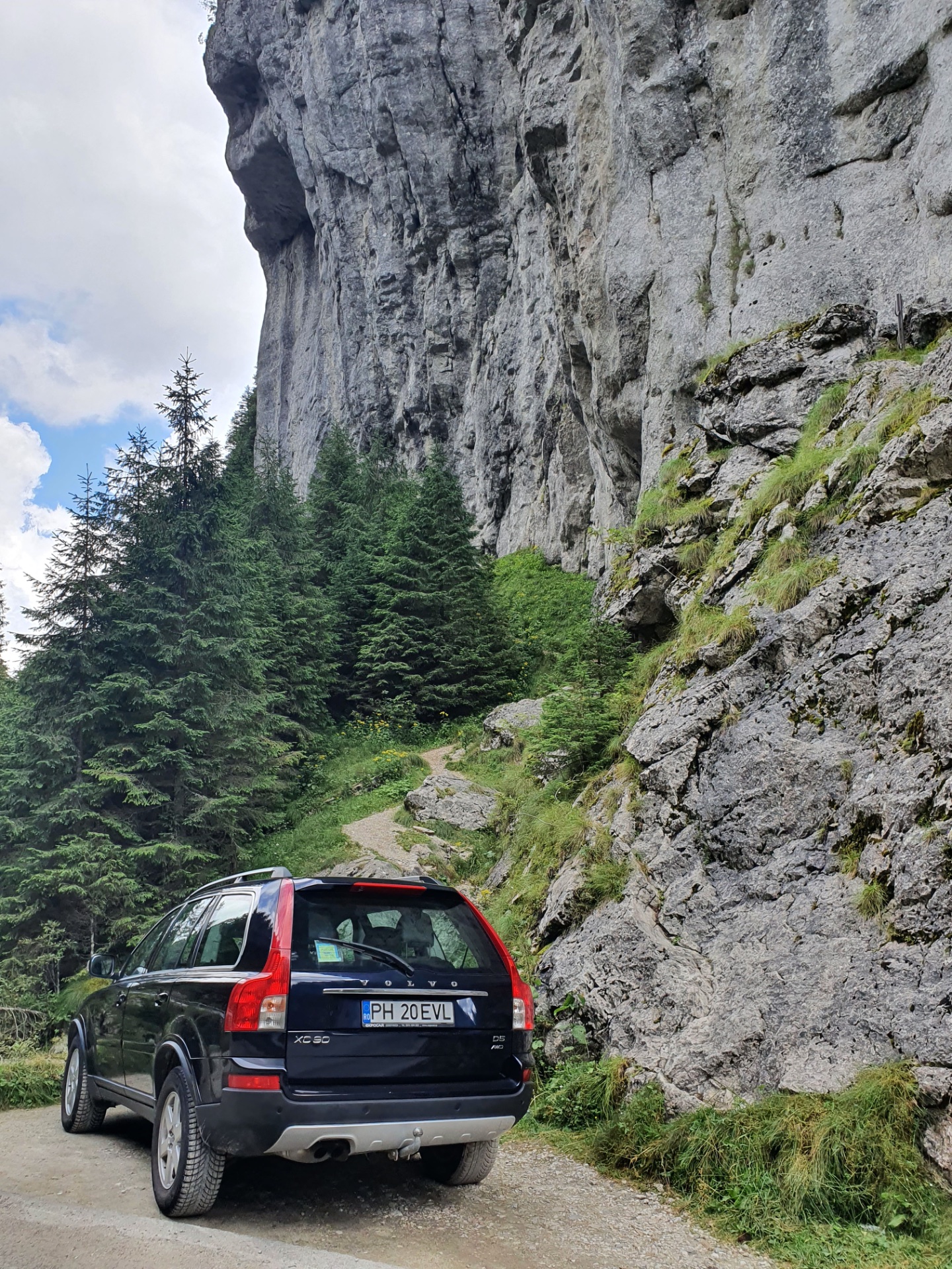 Detaliu de peisaj montan din Masivul Bucegi