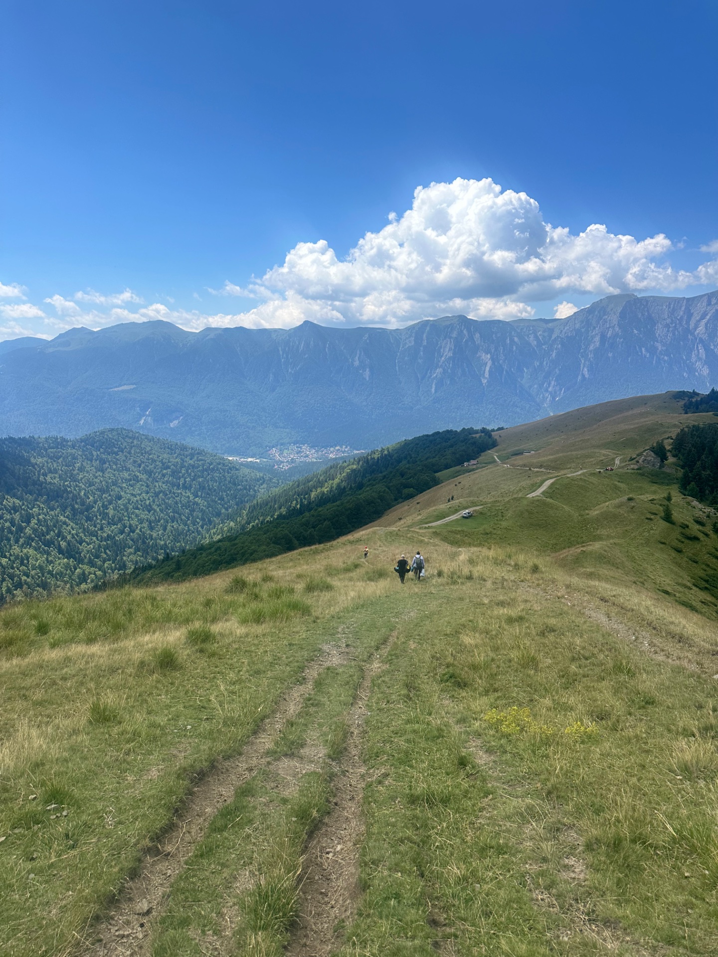 Peisaj din Munții Bucegi cu stânci și vegetație alpină