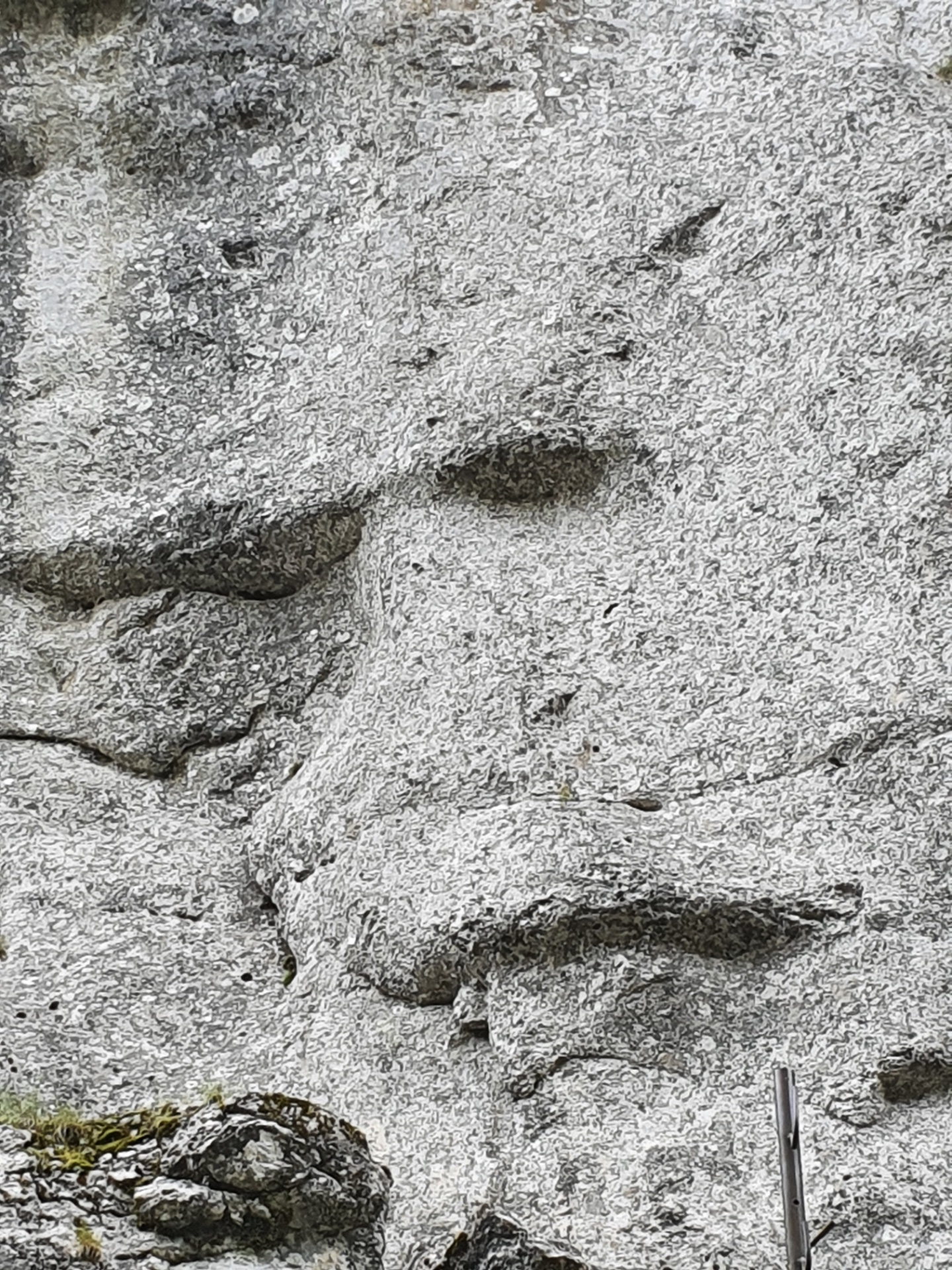 Vedere spre lacurile de munte din zona Bolboci