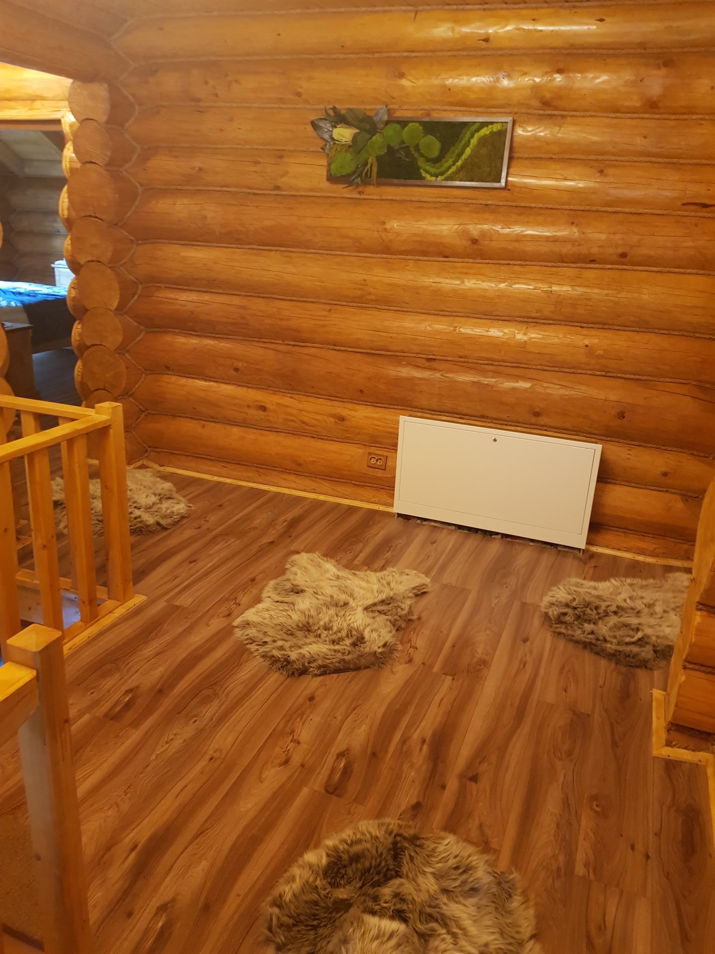 Terasa cabanei cu vedere spre natură